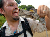 He's attacking me! ;-) Just kidding, but he did scratch me a few times with his back feet. I put him back down and set him on his way shortly after. Madagascar6 - 106.jpg