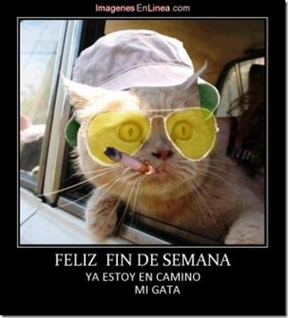 es viernes - fin de semana (4) es viernes - fin de semana (4)