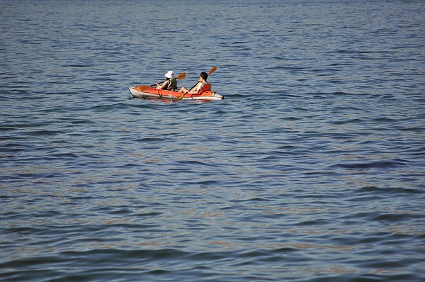 DSC_0509.JPG DSC_0509.JPG