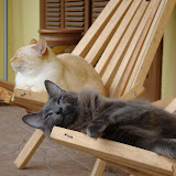 web-DSC00865.JPG