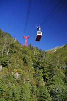 DSC05975.JPG Photo
