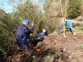 Friends of Five Creeks joined in and then began leading the project.