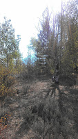 IMAG0177.jpg Photo