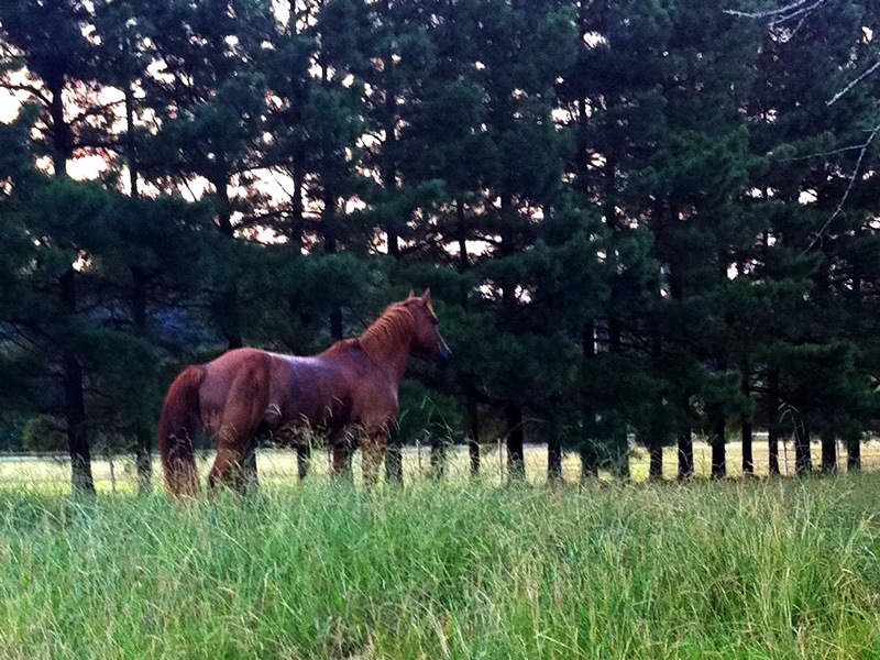[20110817odin%255B4%255D.jpg]
