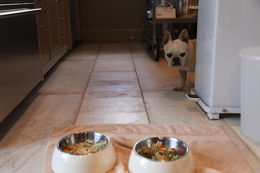 I suppose G.K. and I will have to eat at floor level, as usual.