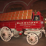 The Anheuser-Busch wagon at the Anheuser-Busch Brewery in St Louis 03192011b