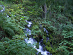 columbia_river_gorge