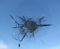 IMG_7169 IMG_7169