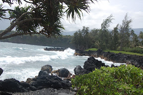 DSC_0923.JPG