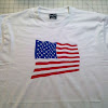 usa_flag.jpg