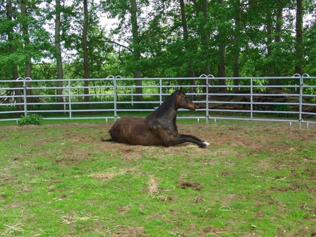 [CIMG7904%255B1%255D.jpg]