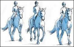 horse3 horse3