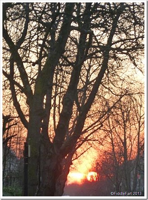 Sunset Ladbrook Grove