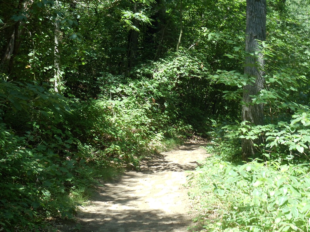 [DSC00757%255B4%255D.jpg]