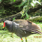 IMG_0959.JPG