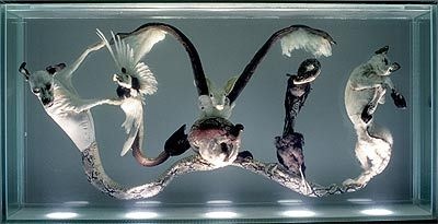 [Iris_Schieferstein_-_ELVIS%255B3%255D.jpg]