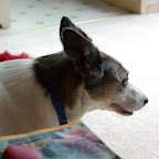 IMGP1323.JPG