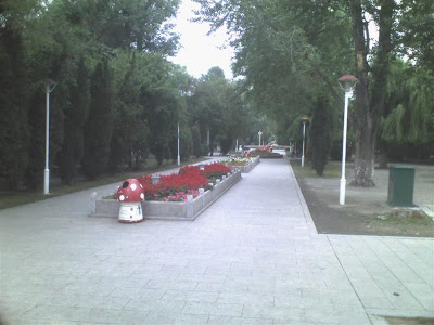 07281050 (Medium).jpg