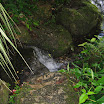 Rainbow Springs State Park-092207-24.JPG