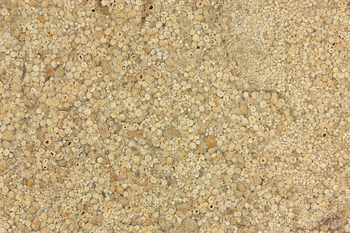 oolite limestone