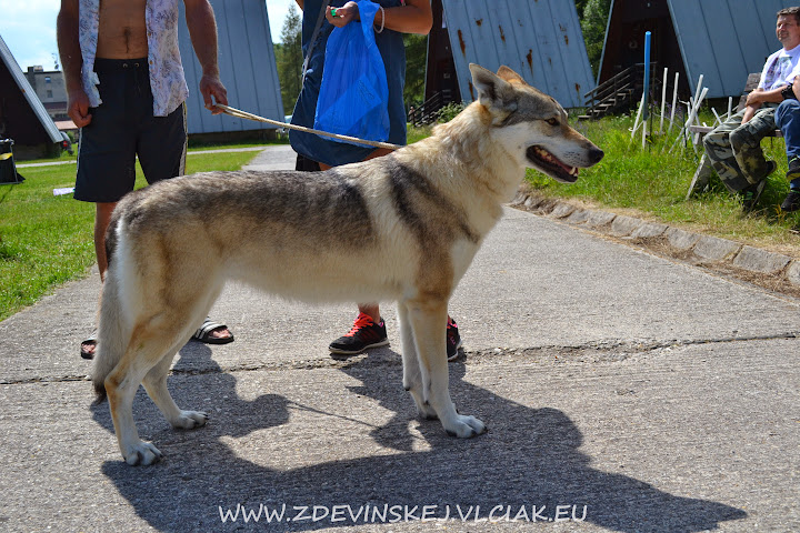 DSC_0178.JPG
