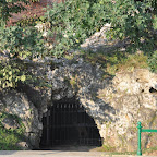 DSC_0203.jpg DSC_0203.jpg