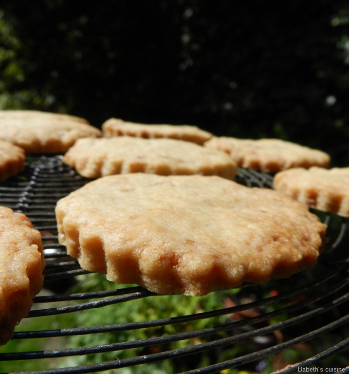 [shortbreads%255B8%255D.jpg]