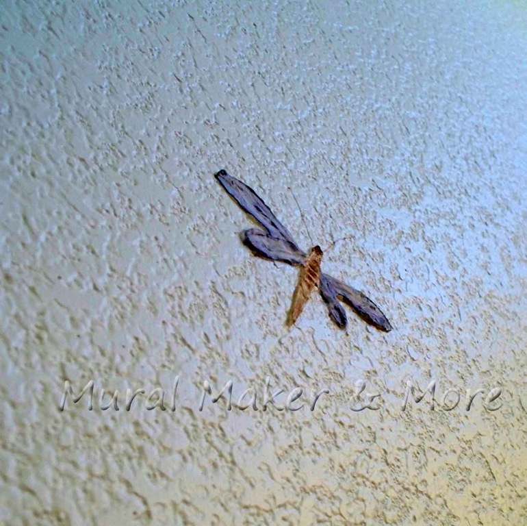 [dragonfly-wall-embellishmen%255B7%255D.jpg]