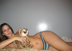 Foto | Un tigre con suerte Foto | Un tigre con suerte