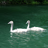 dsc04291.jpg