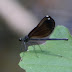 P1090483