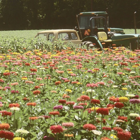 [Farm%25203x3.jpg]