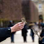 20100402_114.JPG