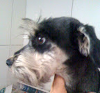 ZULEIKA