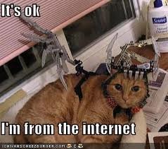 [cat_internet%255B8%255D.jpg]