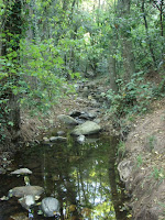 DSC09292.jpg