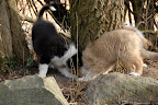 _DSC0065.JPG