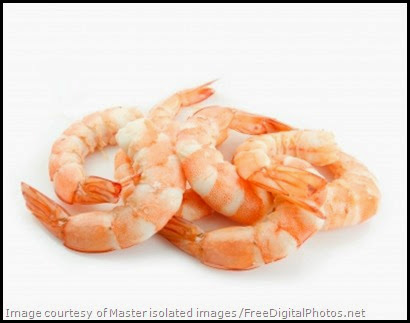 Free Shrimp Photo