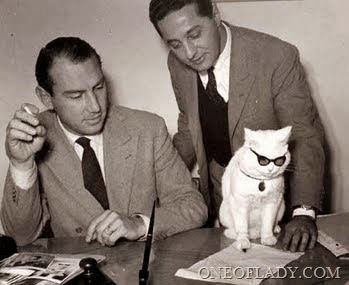 [desktopcat%255B11%255D.jpg]