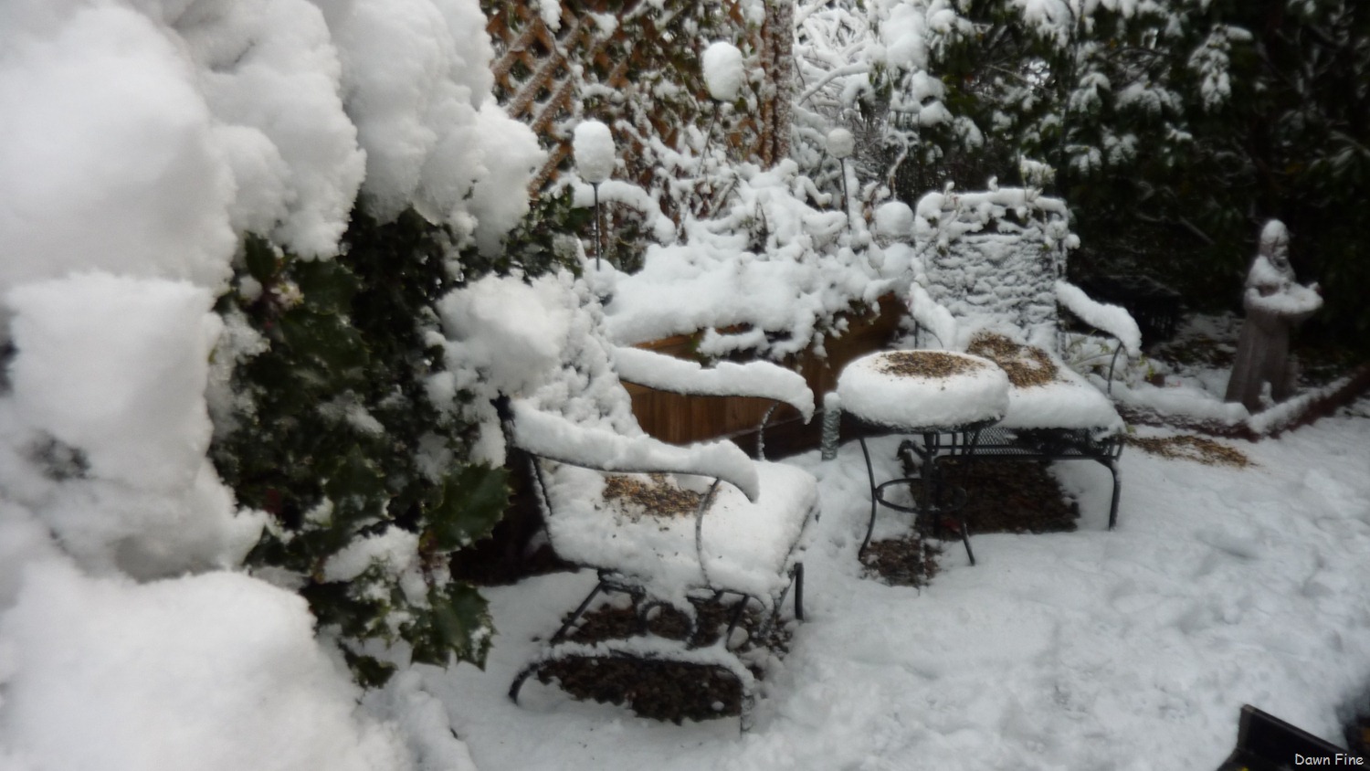 [Blizzard%2520Oct%252029_006%255B3%255D.jpg]