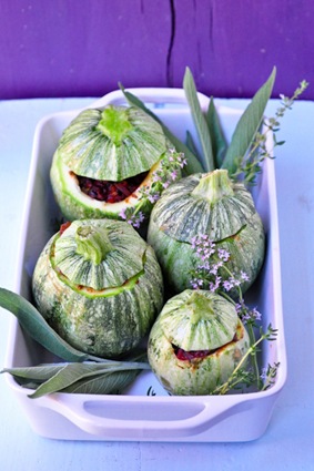 [globe_zucchini_7%255B4%255D.jpg]