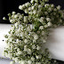 napkins flower rings.jpg