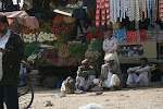 Jodhpur, India 056.JPG