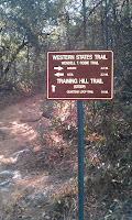 IMAG0063.jpg Photo