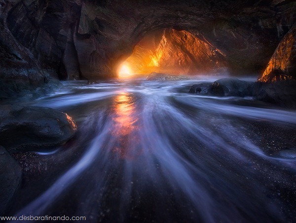 Light From Within Light From Within