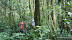 DSC00952.JPG