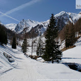 25.03.2011 Schneeschuhwanderung Pircher Alm Weissenbach - Ciaspolata alla malga Pircher Rio bianco