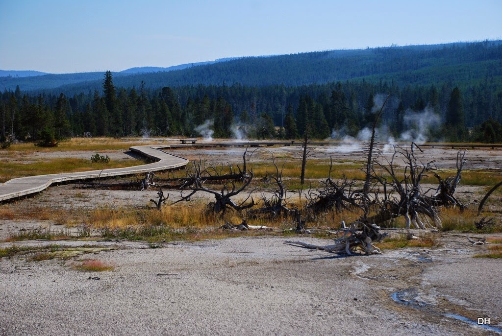 [08-11-14-A-Yellowstone-National-Park%255B125%255D.jpg]
