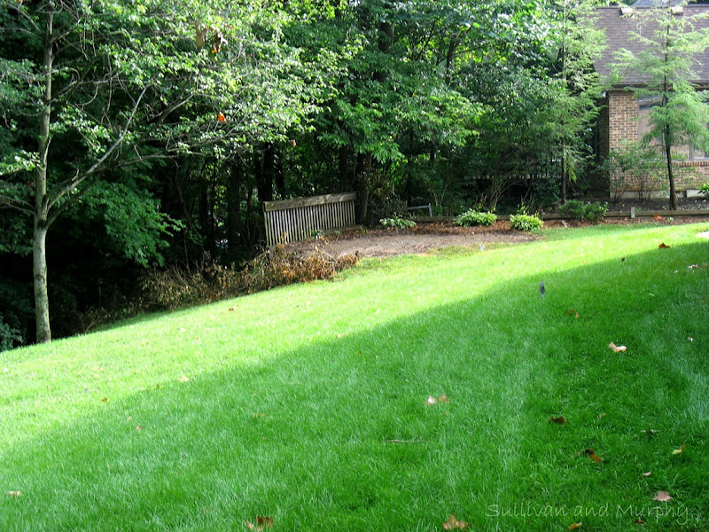 view north to old paver patio wm