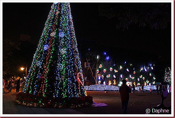 IMG_1640 IMG_1640